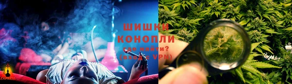 гашик Нефтегорск