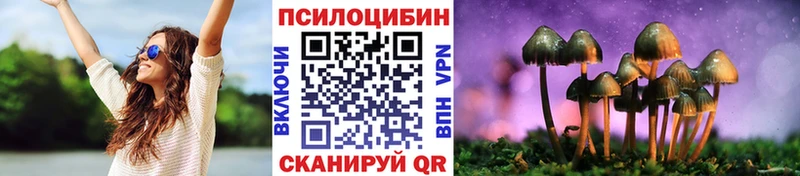 где можно купить   Хилок  Псилоцибиновые грибы Psilocybine cubensis 